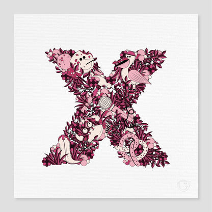 The Alphabet - Letter X