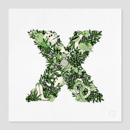 The Alphabet - Letter X