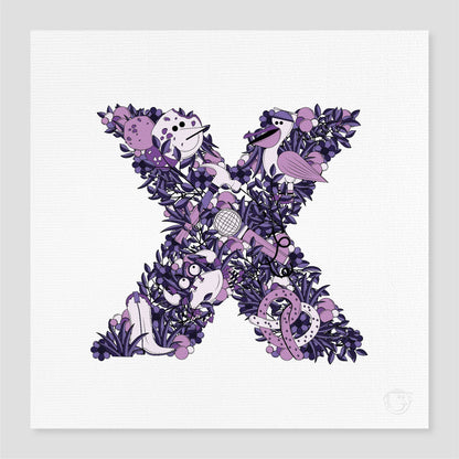 The Alphabet - Letter X